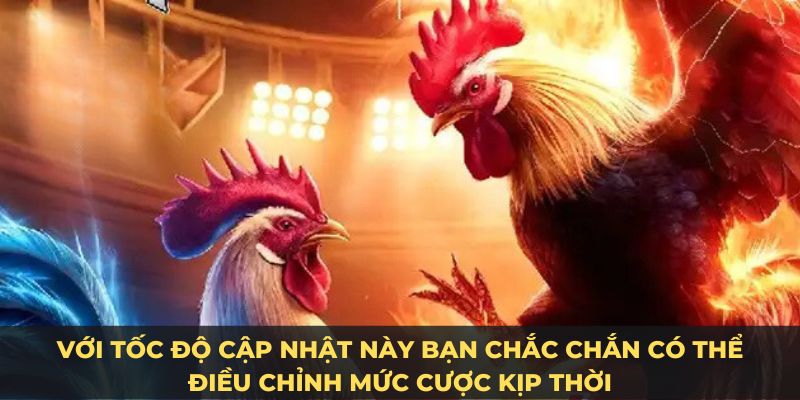 Với tốc độ cập nhật này bạn chắc chắn có thể điều chỉnh mức cược kịp thời